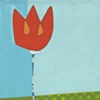 Tulip Single