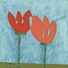 Tulip Plural