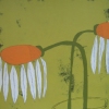 Droopy Fleurs