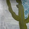Saguaro Astronomy Club