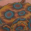 blue ring octopus
