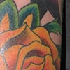 roses and stars 