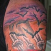 fear and loathing plus cover up