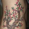 vinces tree