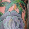 roses and stars