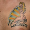mr wonderful