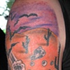 fear and loathing plus cover up