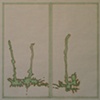 Earwax Roadstains East: Milwakee Ave., Chicago, December 29th, 2006 (Working drawing)