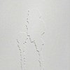Roadstains; block party beer stain on Potomac Ave., Chicago, July 2004- Wood relief