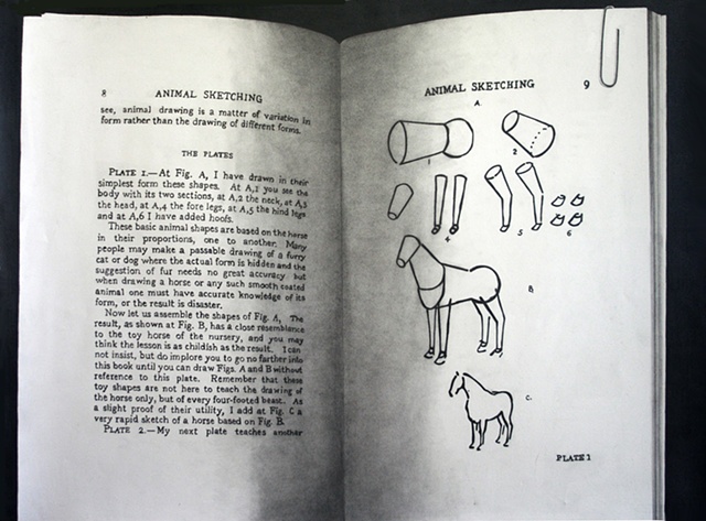 How to Draw a Horse