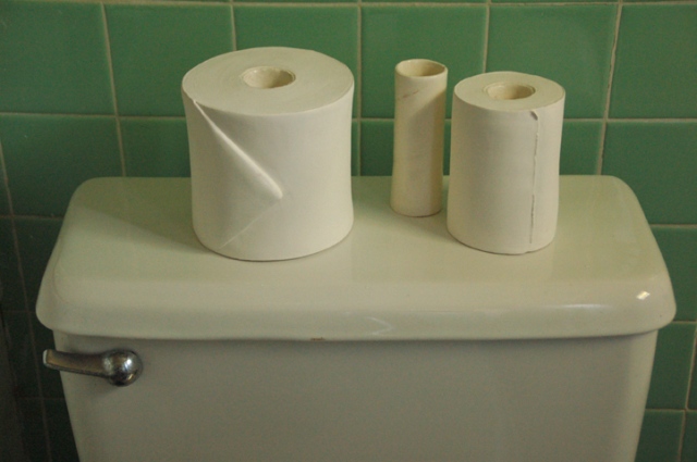 toilet paper flower vases