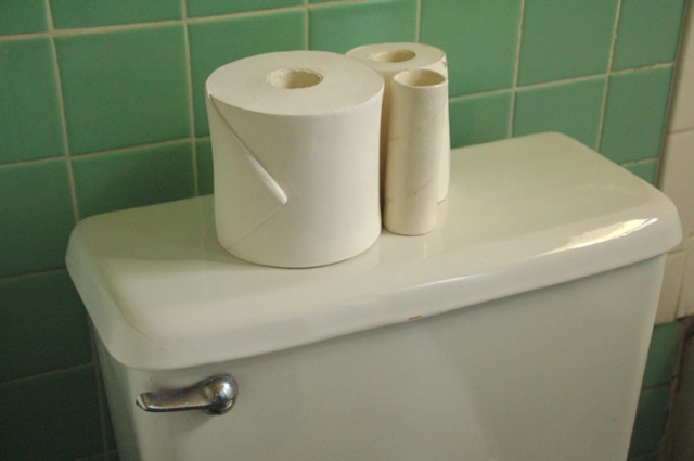 toilet paper flower vases