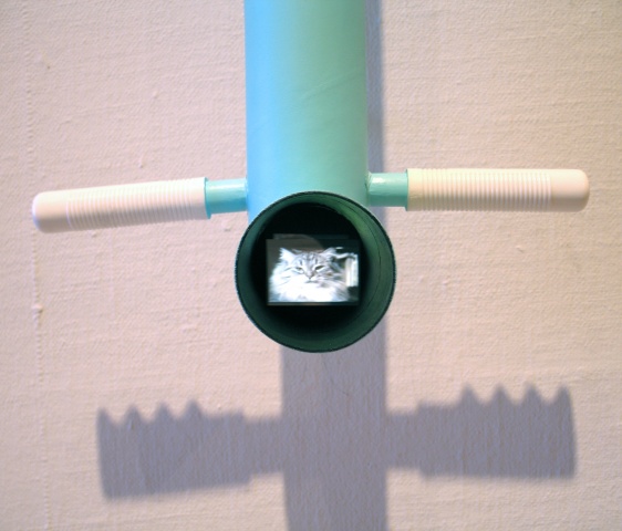 Still from the 6 hours of kitten videos inside the periscope