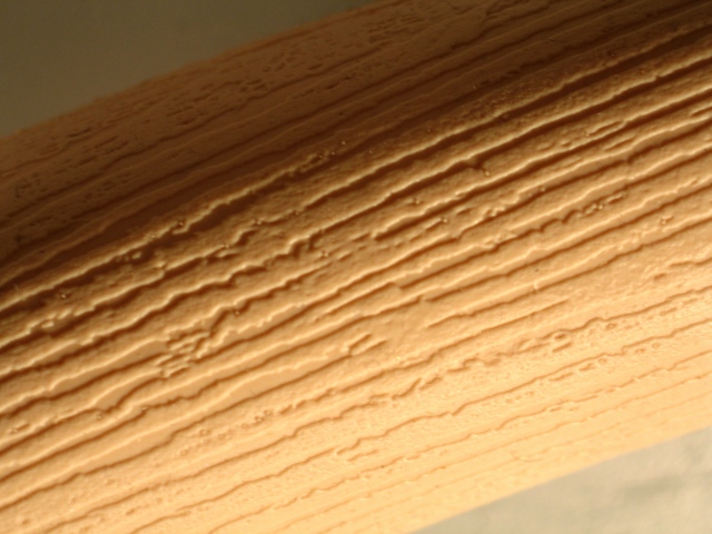 Flaccid Bat (detail)