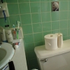 toilet paper flower vases