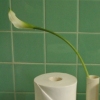 toilet paper flower vases