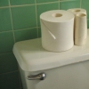 toilet paper flower vases