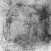 Chair Drawing #1