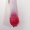 Sock Juice (detail)