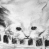 The Kittenseum (detail)