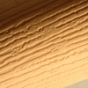 Flaccid Bat (detail)