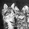 Standoff (detail)
