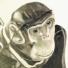 Tin Chimp B-Ball (detail)