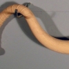 Flaccid Bat