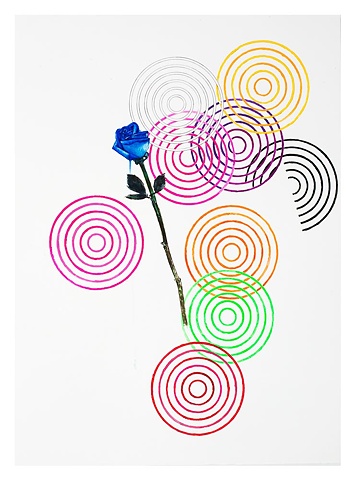 Blue Rose