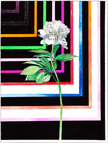 Peony