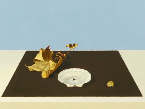 Untitled(Fly)