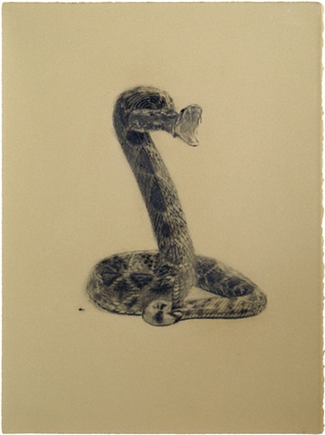 Rattlesnake