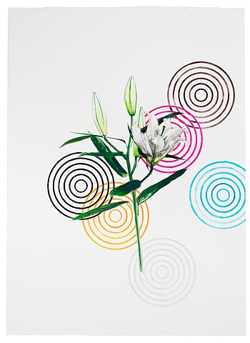White Lily