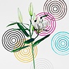 White Lily