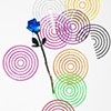 Blue Rose