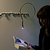 Romex Accent Lamp