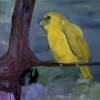 Untitled (Canary)