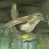 Untitled (squawker)