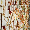 "Language (Translation)" (2006)