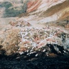 "Resting Place" (2005)