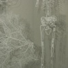 "Yew Tree Project" (2006-10)