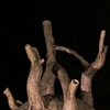 Branching Vessel