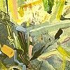 Evolutions No. 21 (detail)