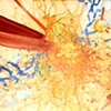 Combustion