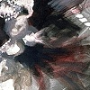 Breach