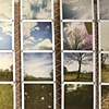Photos