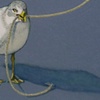 GULL AND CORD