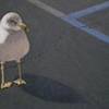 THE GOOD GULL 2