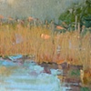 POND STUDY