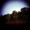 Nocturnal View